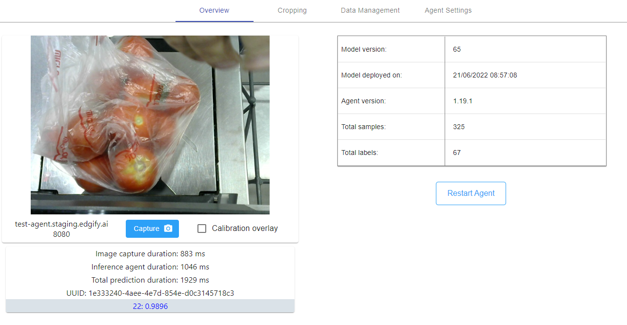 Edgify Setup UI Screenshot alt text